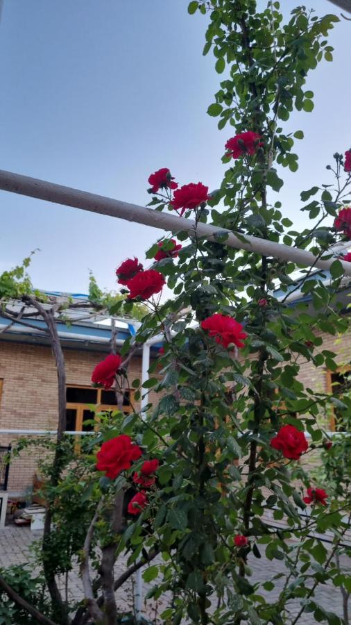 Hostel Muborak Samarkand Luaran gambar