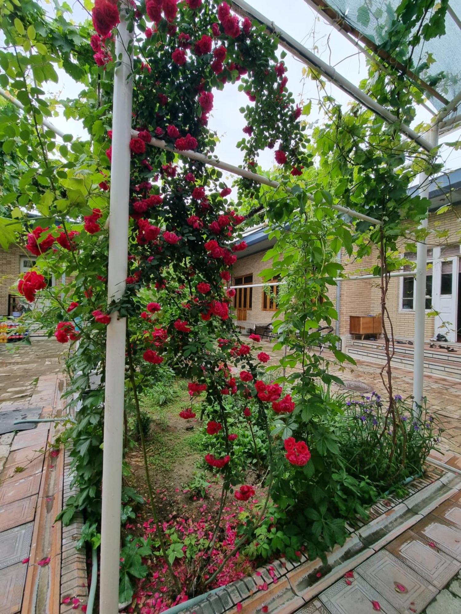 Hostel Muborak Samarkand Luaran gambar
