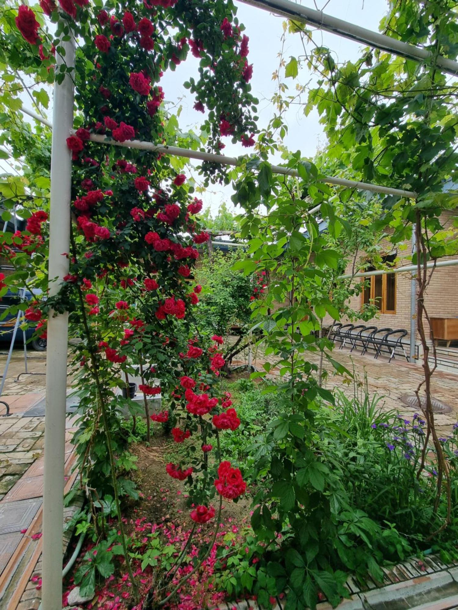 Hostel Muborak Samarkand Luaran gambar
